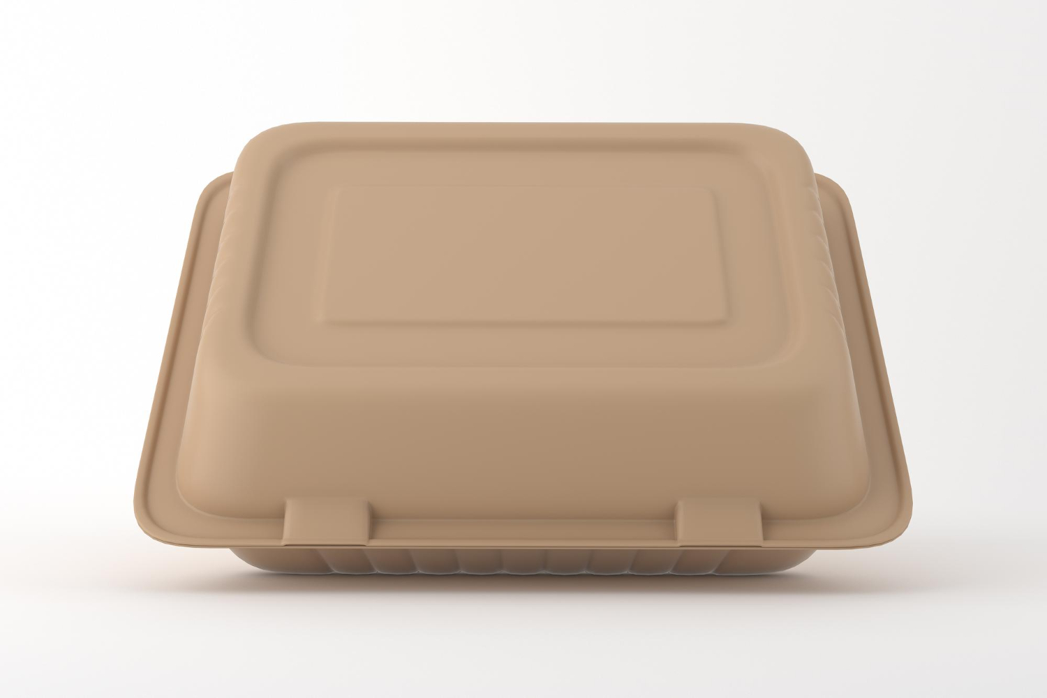 Compostable Take-Out Containers